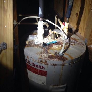 Water Heaters in Brandon, Florida